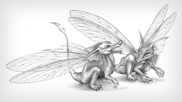 Bug Dragons sharing a joke