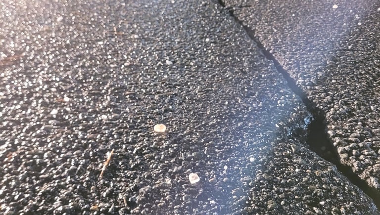 cracked pavement with chunks of salt on it