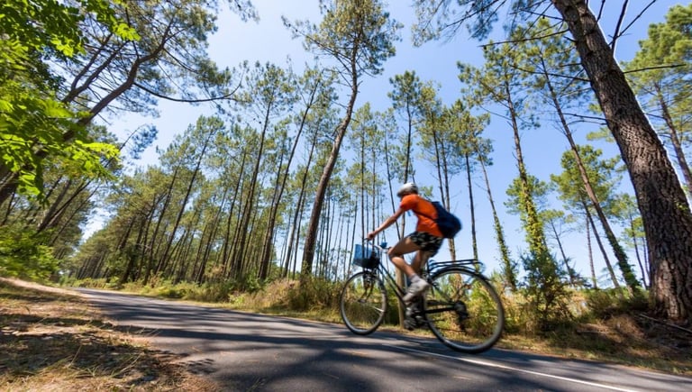 photo de la Vélodyssée à proximité du Camping les chênes dans les Landes