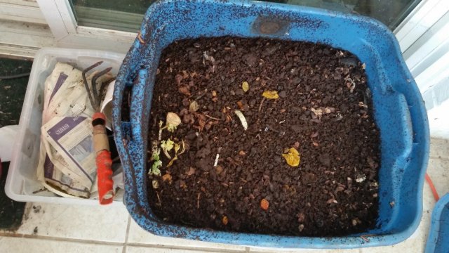 A DIY worm composting bin