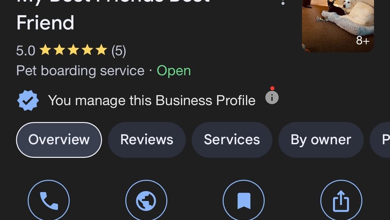 Testimonial & Reviews