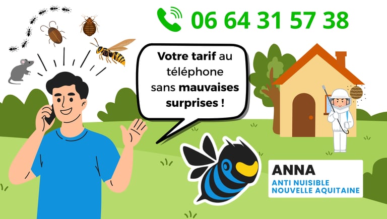 tarif fourmis gironde