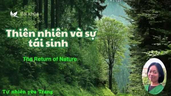 Khóa học từ vựng tiếng anh hiệu quả