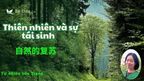 Khóa học từ vựng tiếng trung hiệu quả