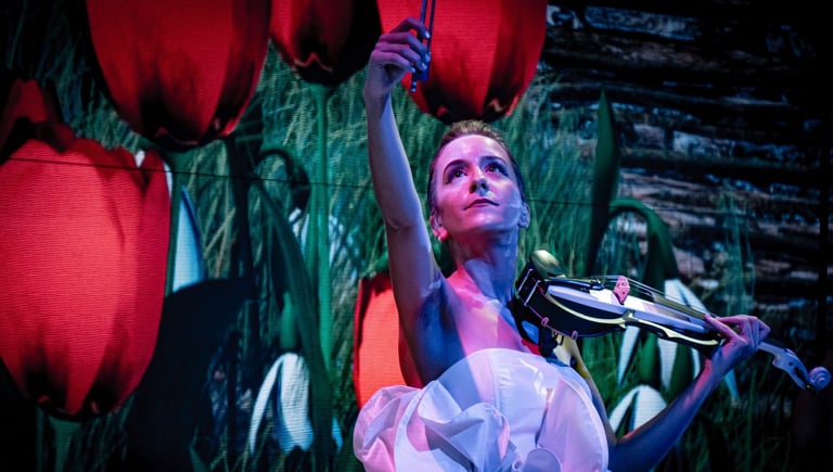 espectáculo de violin electrónico