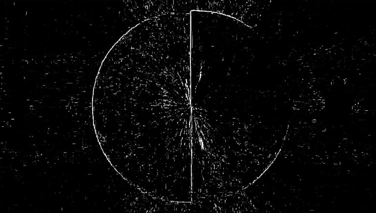 digital art, video installation,  joanna wlaszyn