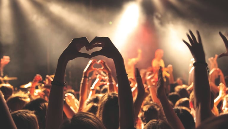 Fans at a music concert