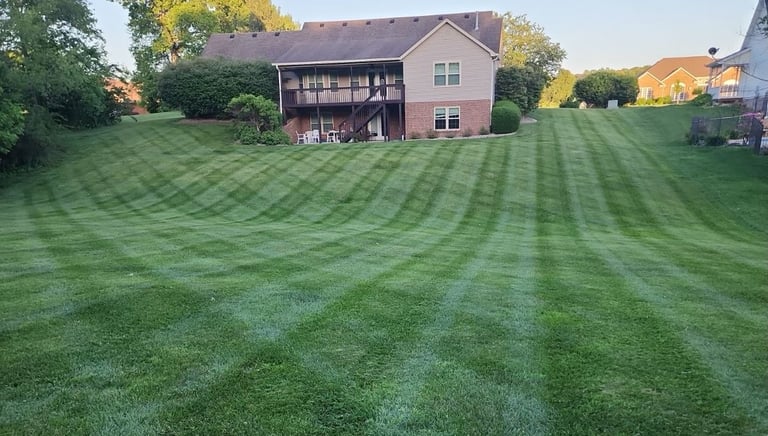 lawn care