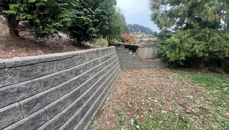 An area that recently had blackberry bushes removed. 