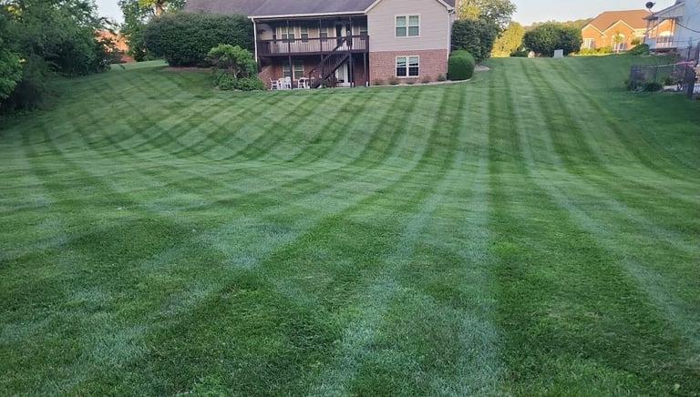 lawn care
