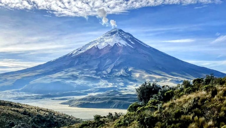 Cotopaxi seen from Rumiñahui