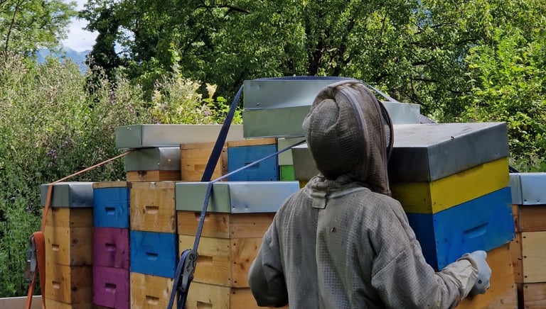 apiculteur et ruches. parrainage de ruches