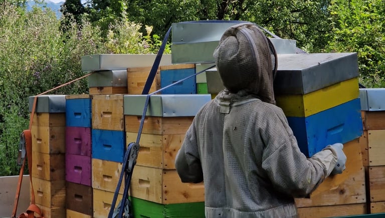 apiculteur avec ruches, parrainage de ruches