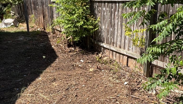 a clean and decluttered backyard after junk removal in fair oaks ranch