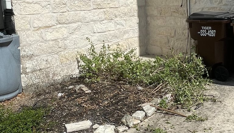 Wooden Pallets After Razorbill Junk Removal In 1604