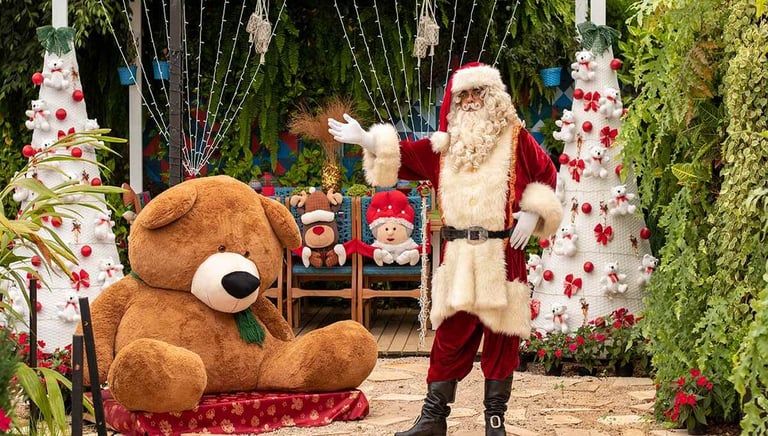 Natal Holambra