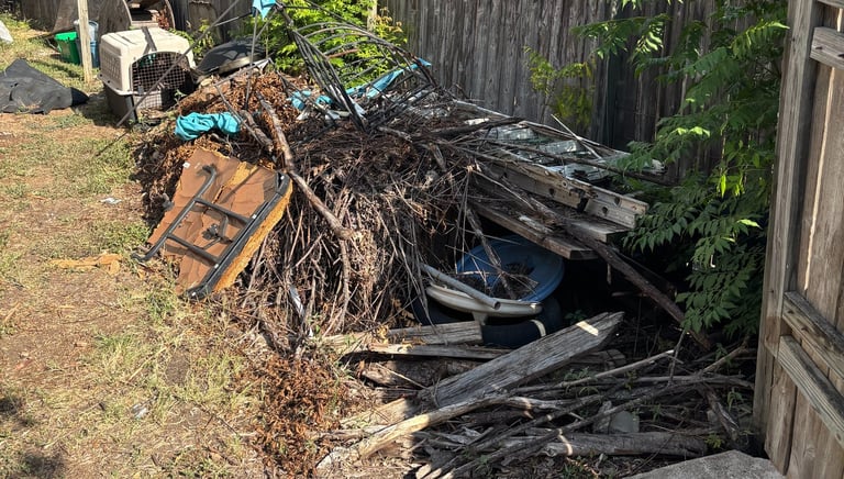 backyard in fair oaks ranch full of branches and backyard debris
