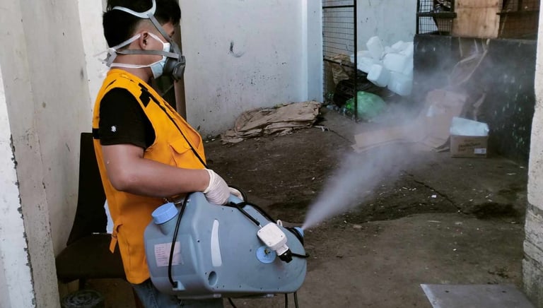 Professional pest control technician wearing a respirator and safety vest while fogging an outdoor area.