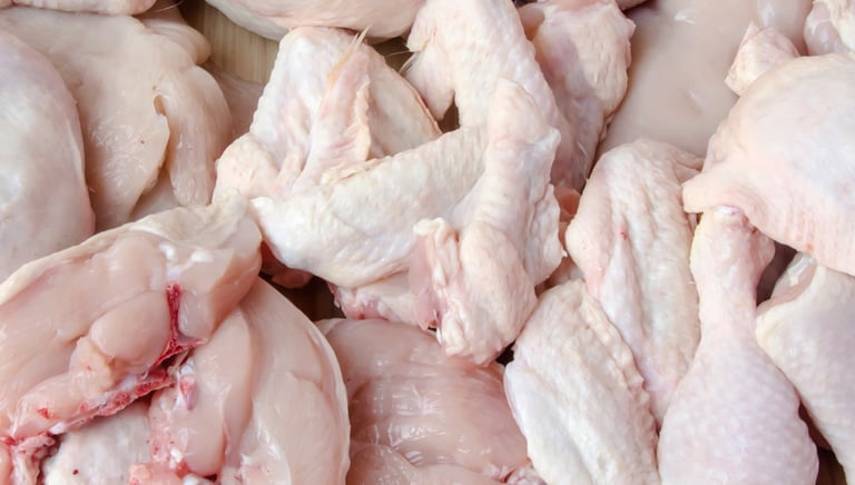 bornova taze tavuk parcalama tesisi gunluk sevkiyat