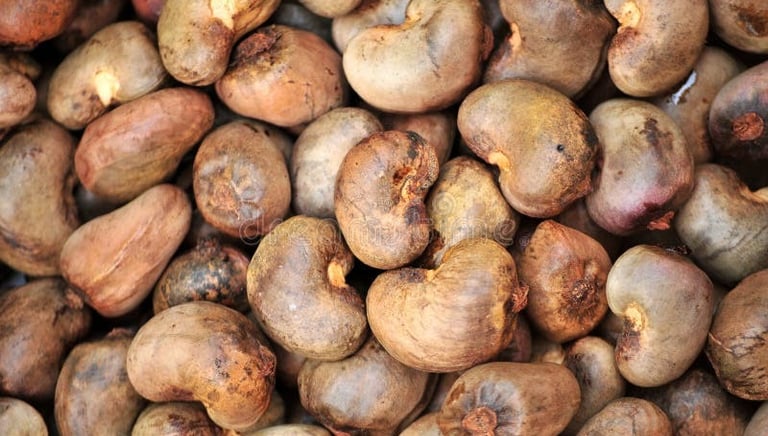 raw cashew nuts 