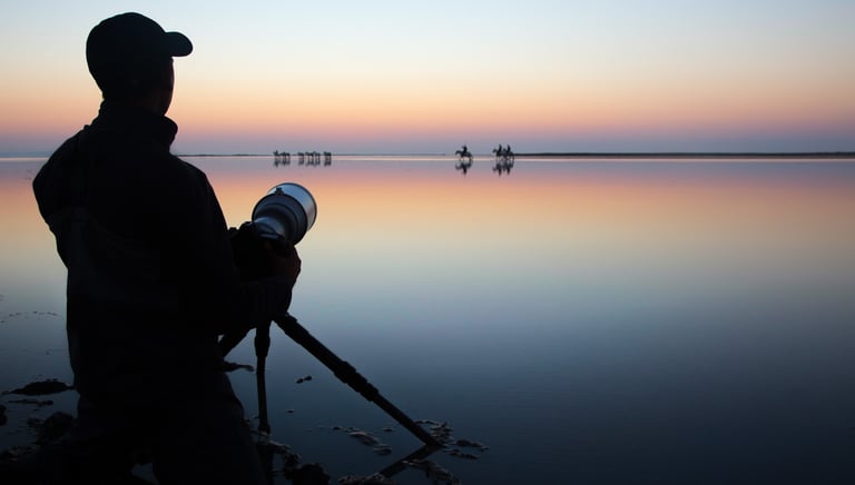 A wildlife photographer silhouette with a tripod capturing horses at sunset over a calm lake reflection.