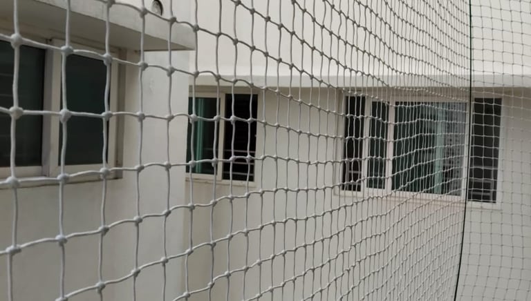 Wide shot of a building facade covered with pigeon nets under bright sunlight Chennai
