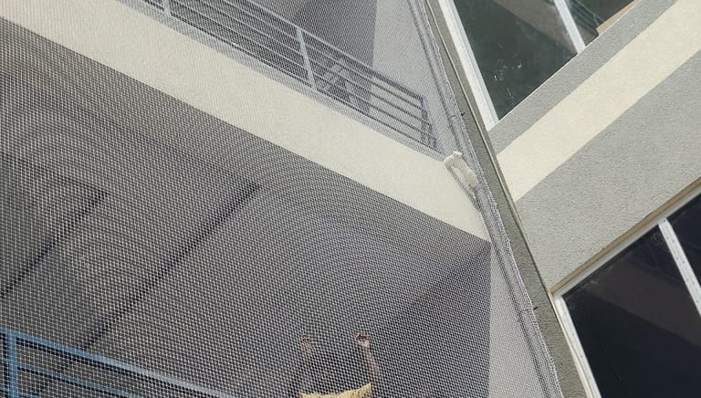 Close-up of a tightly woven anti-pigeon net installed on a residential balcony in Thoraipakkam.