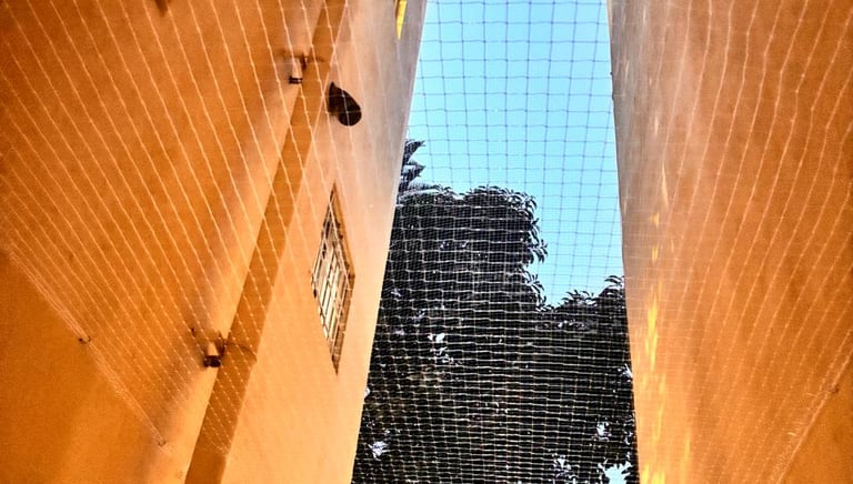Technician carefully installing a duct area net on an apartment building in Vijayawada.