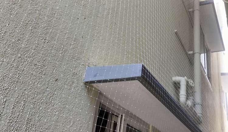 Window fitted with a fine mesh pigeon net overlooking a serene neighborhood in Bangalore.