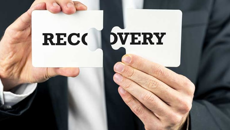 Debt Recovery and company Litigation