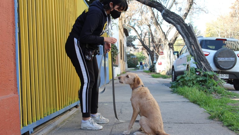 Paseos recreativos Santiago