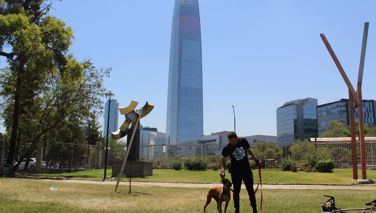 Servicio de paseos Providencia