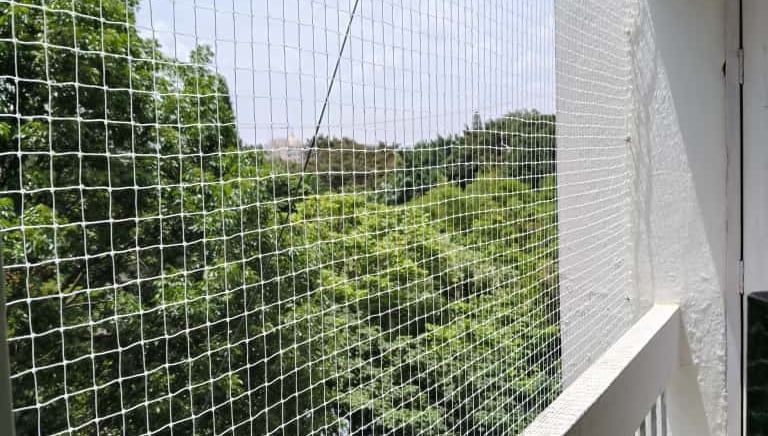 Best safety nets in Indira Nagar