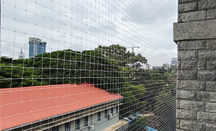 anti pigeon nets in Jp nagar