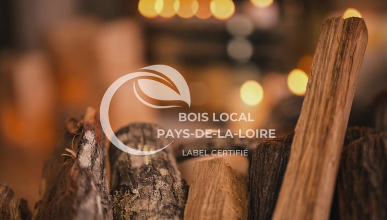 des morceaux de bois de chauffage