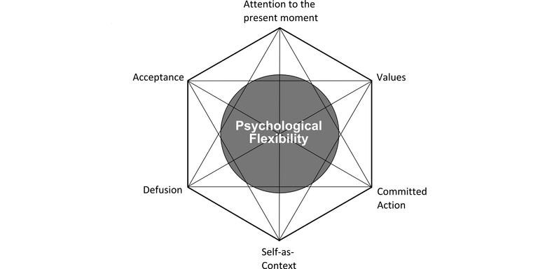 The ACT Hexaflex diagram illustrating the six core processes of psychological flexibility in therapy