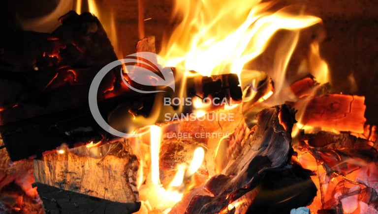 flamme avec des bûches qui brulent