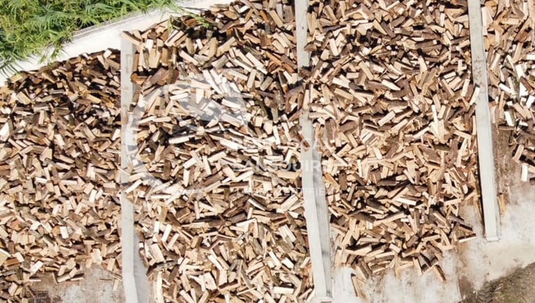 vue du dessous d'un tas de bûches coupées