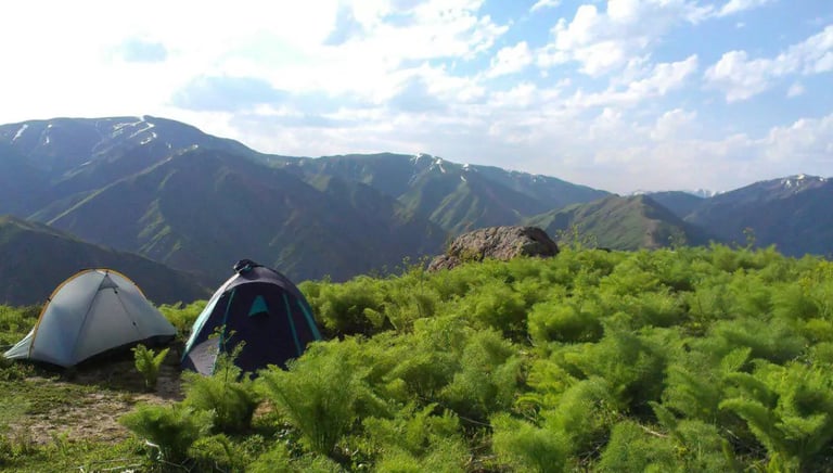 Chimgan Spring Camping Tashkent Uzbekistan