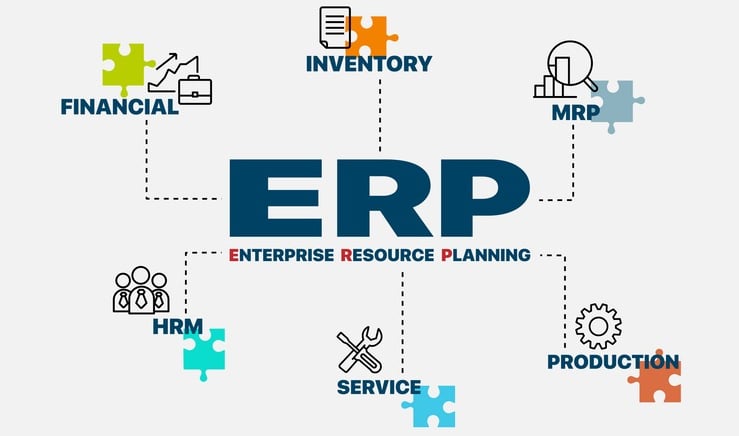 Enterprise Resource Planning (ERP)