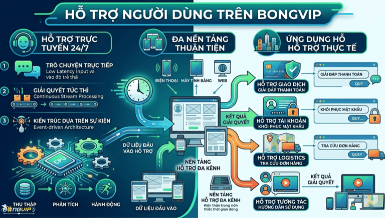 Hỗ Trợ Người Dùng Trên Bongvip