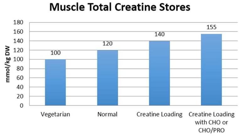 a bar chart of muscle muscle muscle creativtion