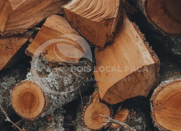 un tas de bûches avec un tas de copeaux de bois