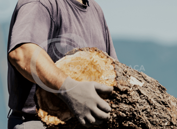 un homme tenant un gros morceau de bois dans ses mains