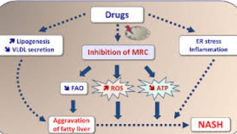 fatty liver disease hepatotoxic medicat