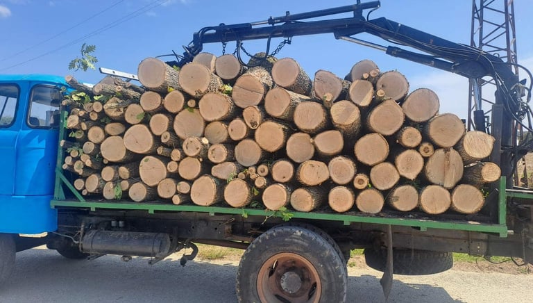 Метрови дърва за огрев Варна