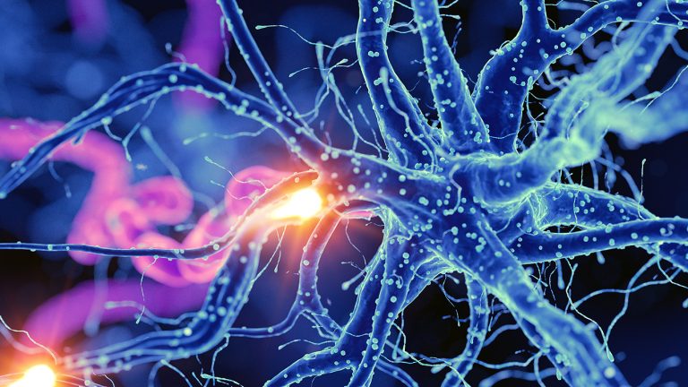 gesteigerter Fettstoffwechsel biosequentiell Stimulation Divinia Eclibs slim Mun-ik München