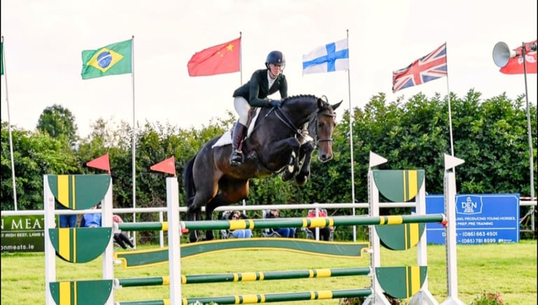Showjumping horse who gets CONNEXION horse supplement