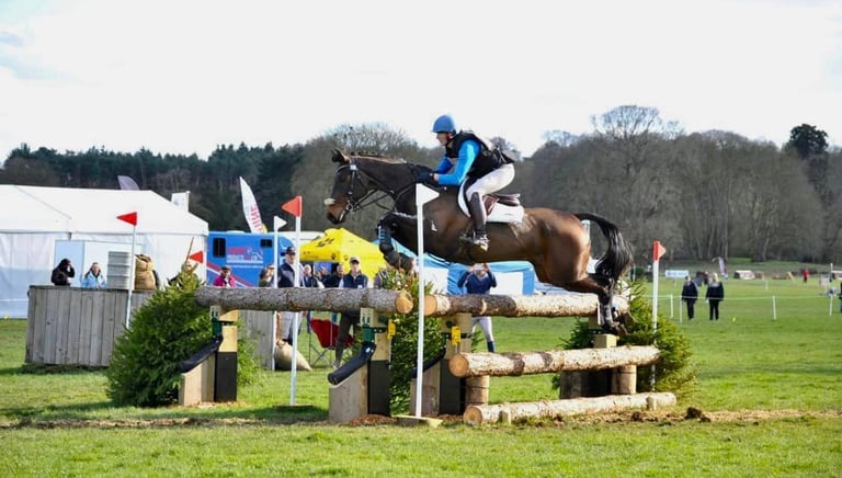 Eventing supplements for horses