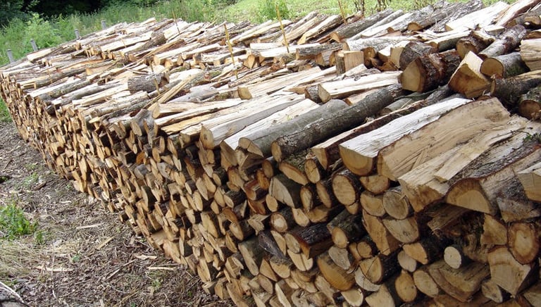 bois de chauffage empilés les uns sur les autres